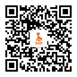 魔狐狸-微信